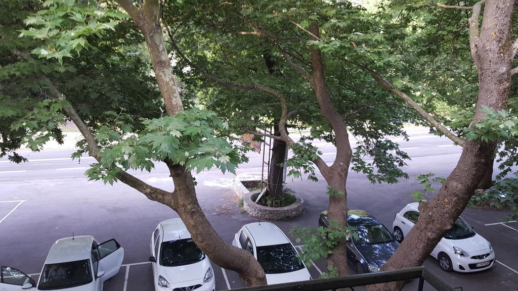 Hani Zemenou アラコバ エクステリア 写真